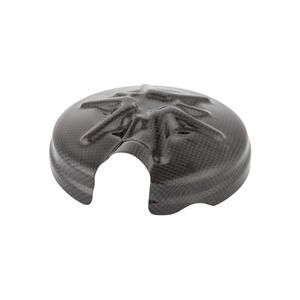 Coperchio Frizione In Carbonio per Aprilia Lightech