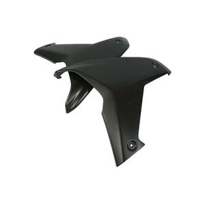 Fianchetti Laterali Carena Dx+Sx per Ducati Lightech