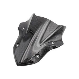 Frontalino Copri Strumenti In Carbonio per Kawasaki Lightech