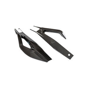 Protezioni Forcellone In Carbonio (Coppia) per Bmw <p>Colore Naturale</p>