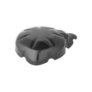 Coperchio Alternatore In Carbonio per Kawasaki <p>Colore Naturale</p>