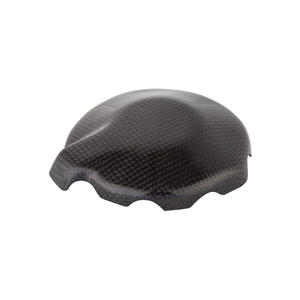 Coperchio Alternatore In Carbonio per Kawasaki <p>Colore Naturale</p>