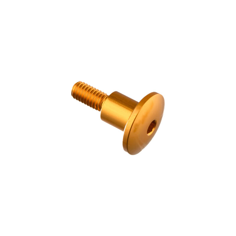 Special Screw M6 X 23,5 + Smooth Part D9,9 X 11 Oro