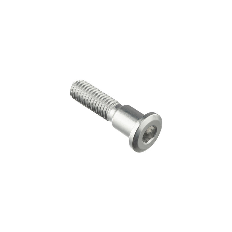 Special Screw M8 X 33 + Smooth Part D9,9 X 11 Argento