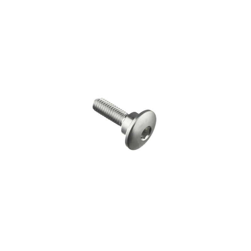 Special Screw M5 X 17,8 + Smooth Part D8,1 X 3,7 Argento