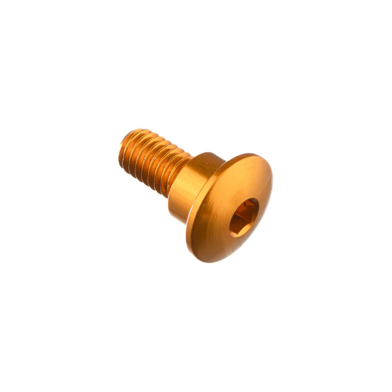 Special Screw M6 X 15 + Smooth Part D8,9 X 5 Oro