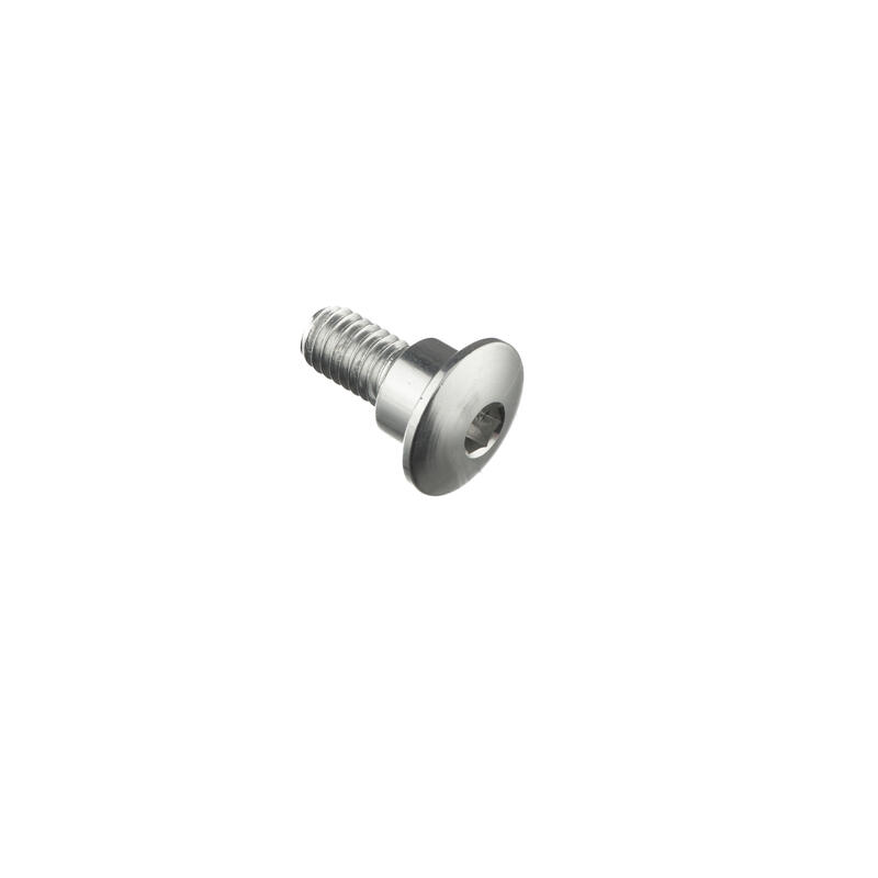 Special Screw M6 X 15 + Smooth Part D8,9 X 5 Argento