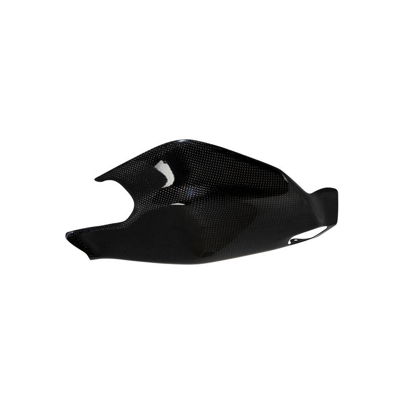 Carbon Arm Protection for Ducati Lucido