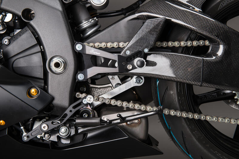 Protezioni Forcellone In Carbonio (Coppia) per Yamaha Lucido