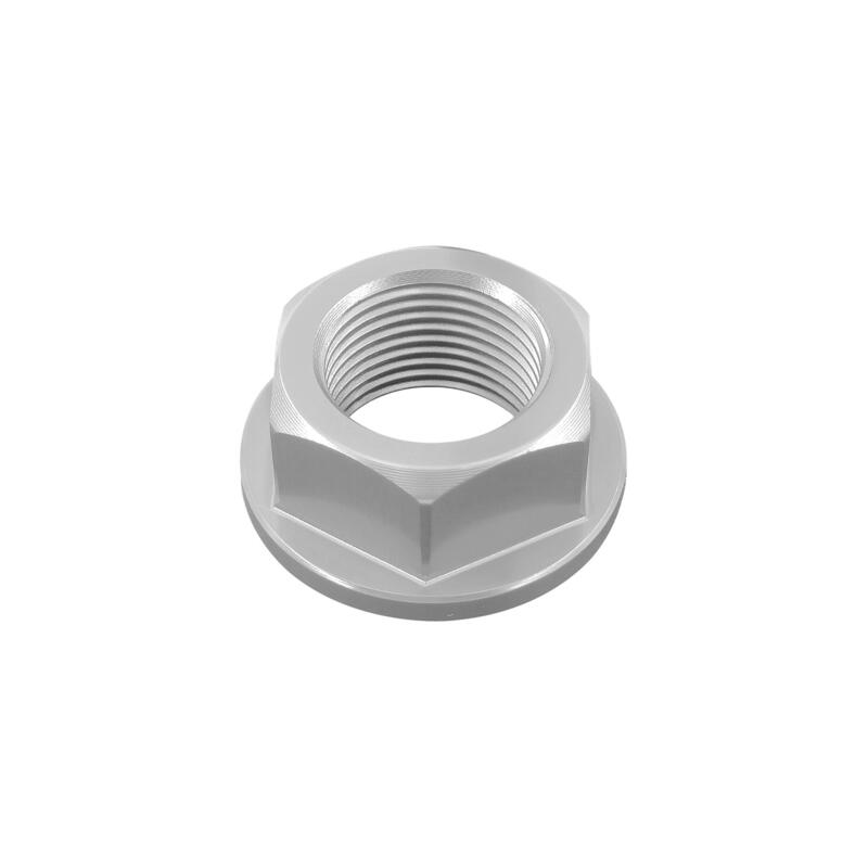 Dado Speciale 20 X 1,50 Ergal per Yamaha, Kawasaki, Suzuki, Aprilia Argento