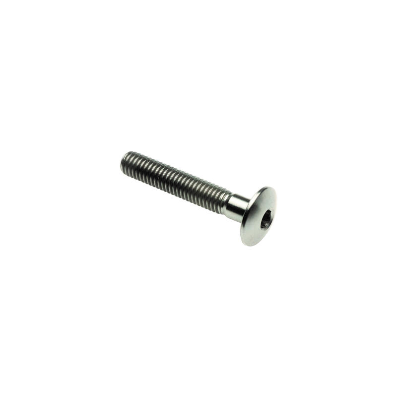 Button Head  Tit. G.5 Cl 002 M5 L. 65 Head &Oslash;12  Titanio 6al4v Gr.5 Titanio