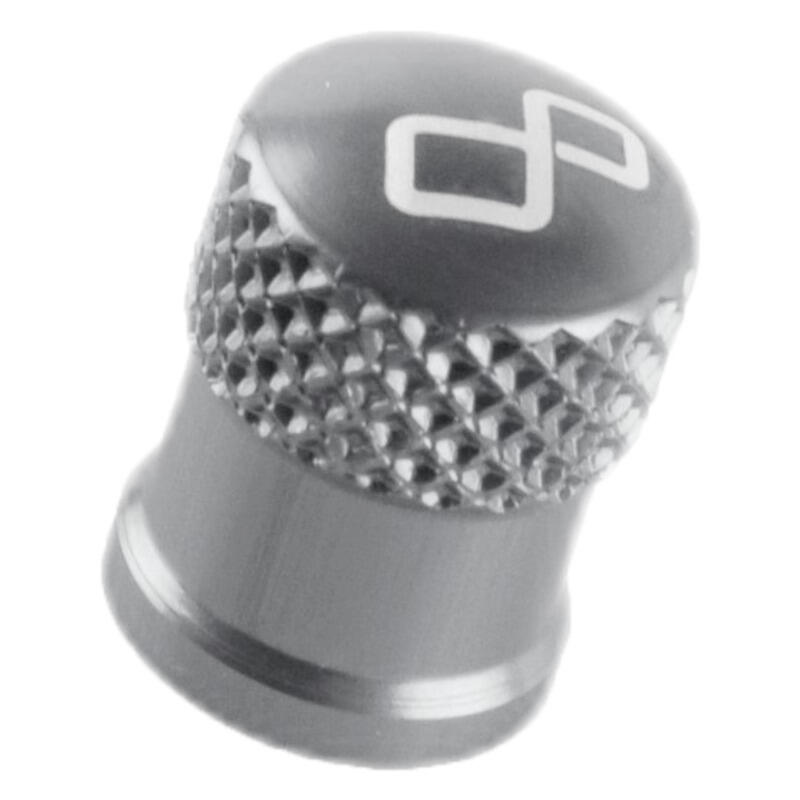 Cappelletto Valvola Ruota Argento